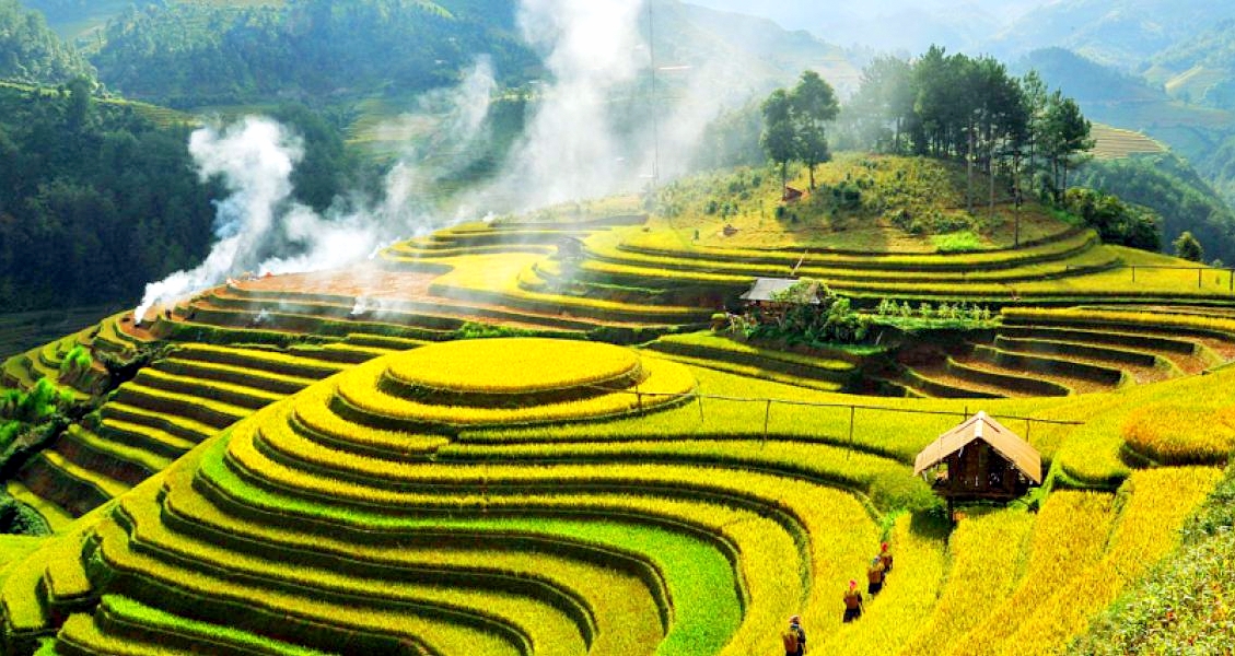 Kế hoạch tuần 20, thực hiện từ ngày 12/01 - 18/01/2026