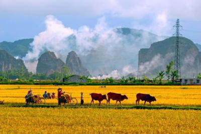 Kế hoạch tuần 4, thực hiện từ ngày 22/09 - 28/09/2025