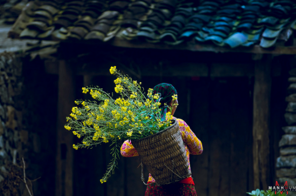 Kế hoạch tuần 23, thực hiện từ ngày 02/02 - 08/02/2026