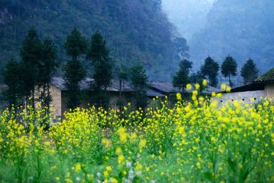 Kế hoạch tuần 17, thực hiện từ ngày 22/12 - 28/12/2025